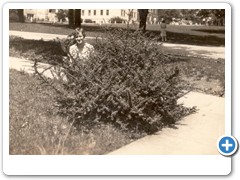 Rogers Flora Families0060