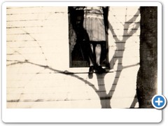 Rogers Flora Families0061