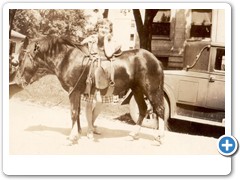 Rogers Flora Families0067